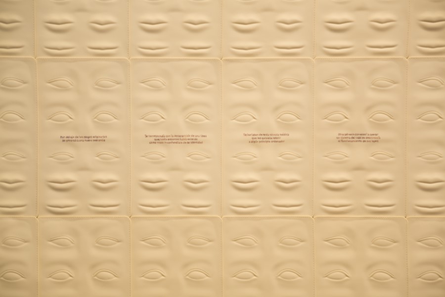 Mariana Najmanovich: La muerte y otras miserias. Reflexiones sobre lo&nbsp;poshumano